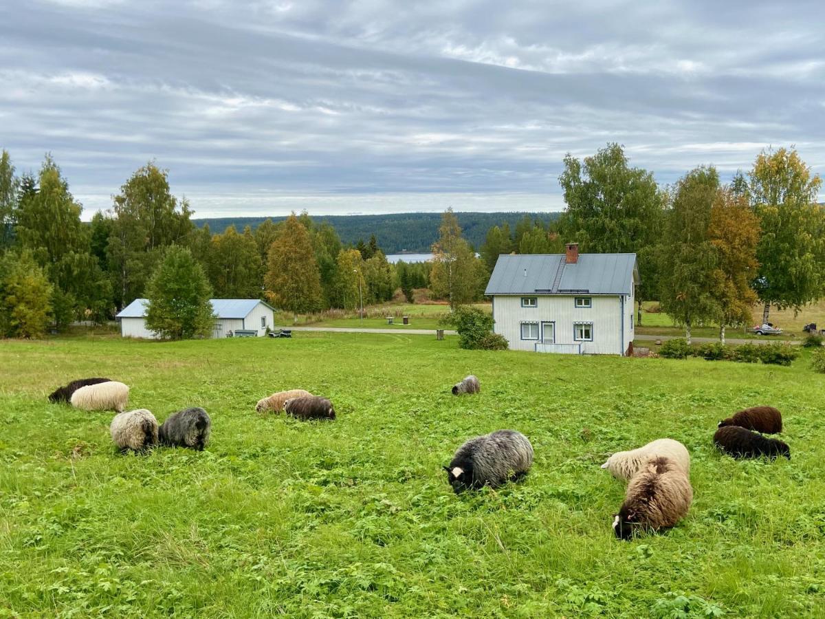 Vildmarksgard Lillviken Strömsund Eksteriør bilde
